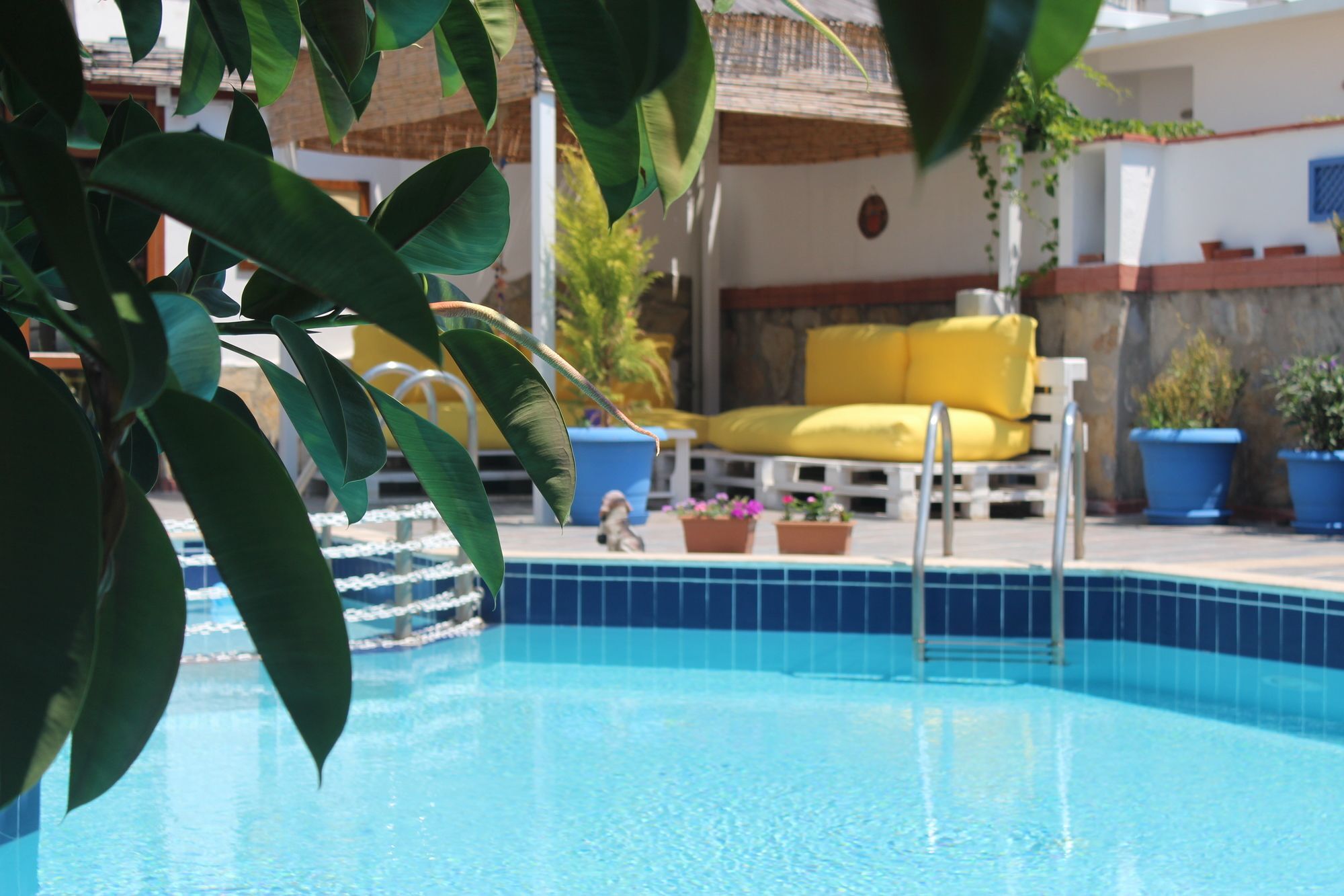 Otel Oya Boutique And